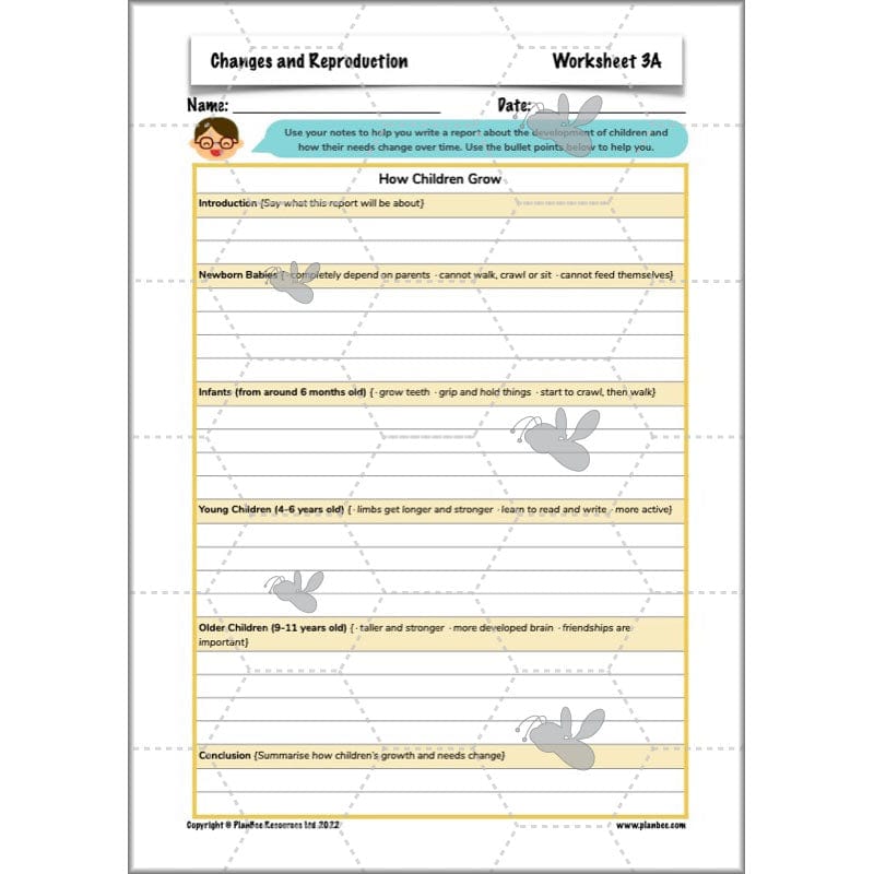 PlanBee Human Life Cycle KS2 lessons | Year 5 Science by PlanBee
