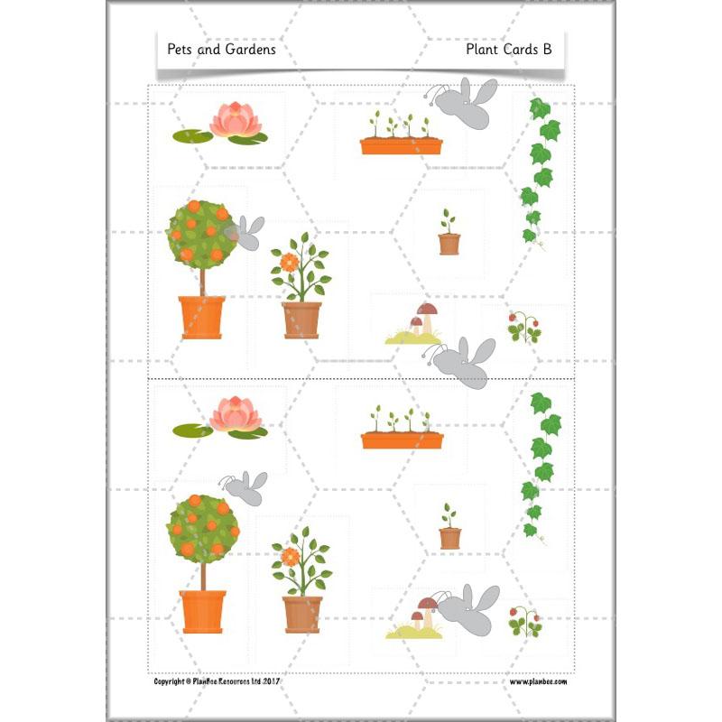 PlanBee Pets and Gardens Year 1 Science Lesson Plans by PlanBee