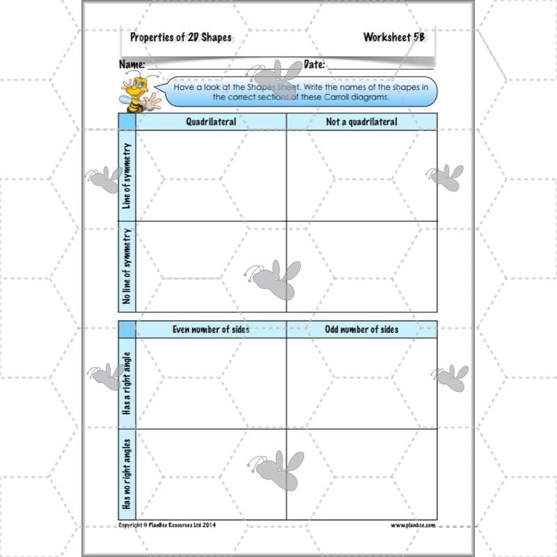 PlanBee Year 4 Properties of 2D Shapes KS2 Maths by PlanBee