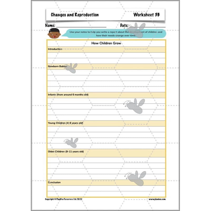 PlanBee Human Life Cycle KS2 lessons | Year 5 Science by PlanBee
