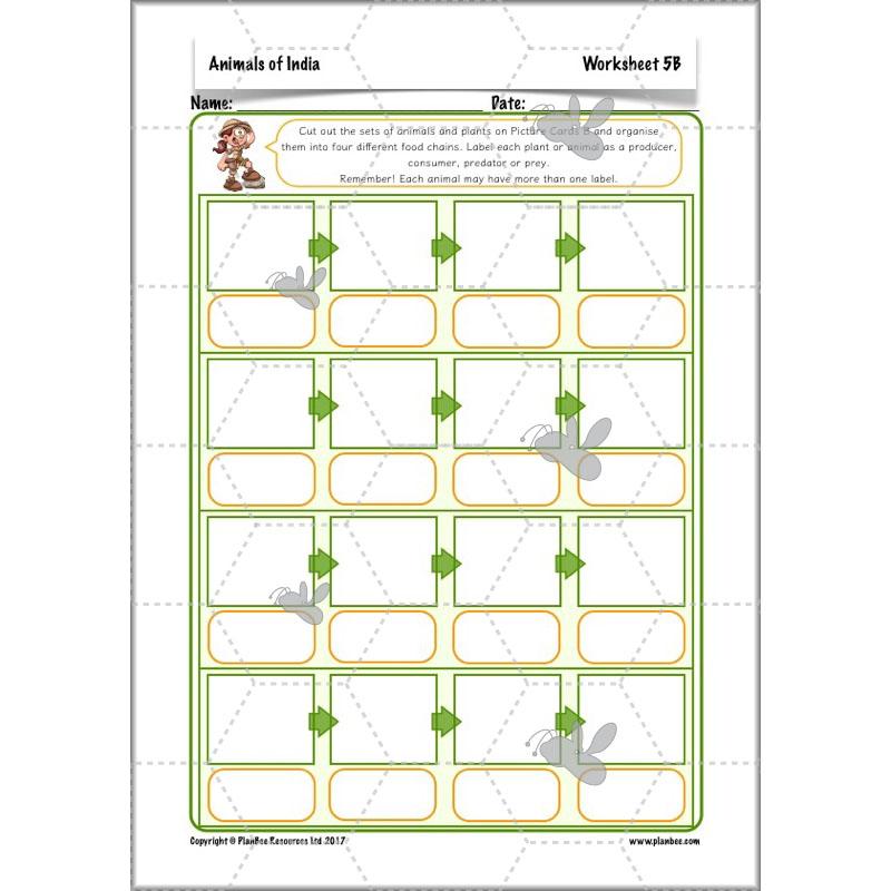 PlanBee Animals of India complete Science scheme of work for KS2