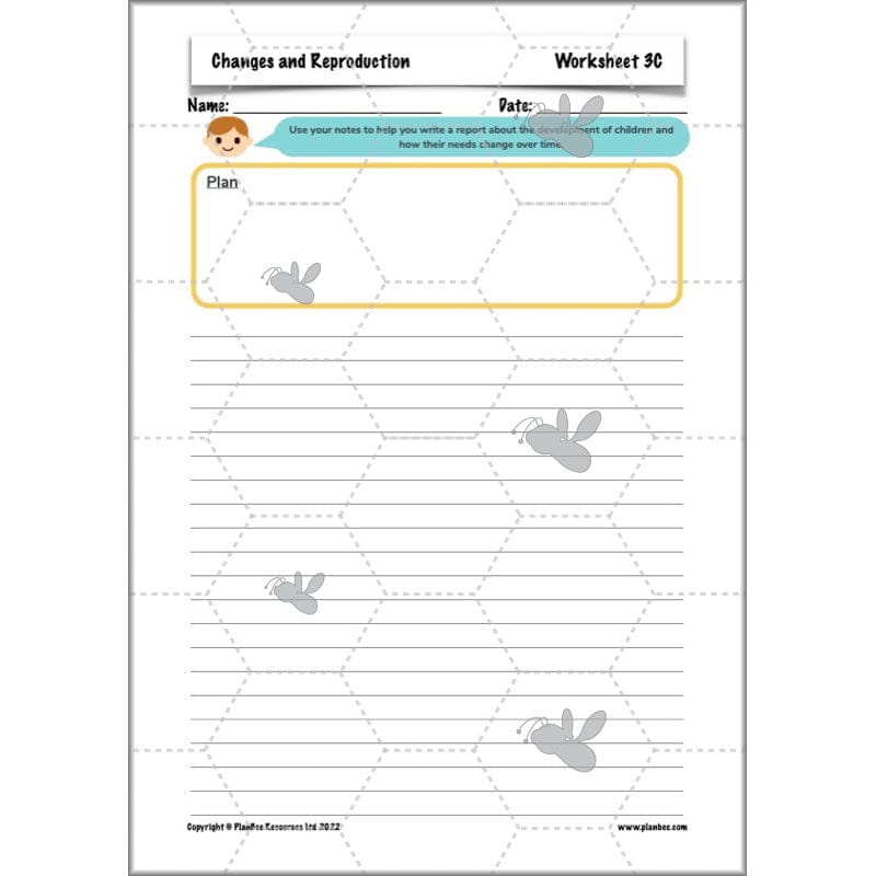 PlanBee Human Life Cycle KS2 lessons | Year 5 Science by PlanBee