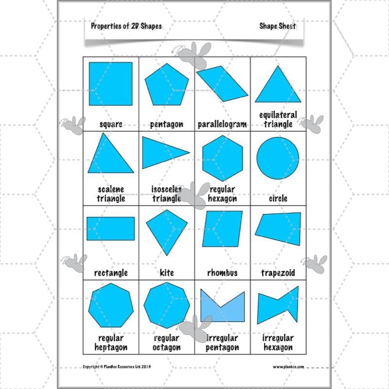 PlanBee Year 4 Properties of 2D Shapes KS2 Maths by PlanBee