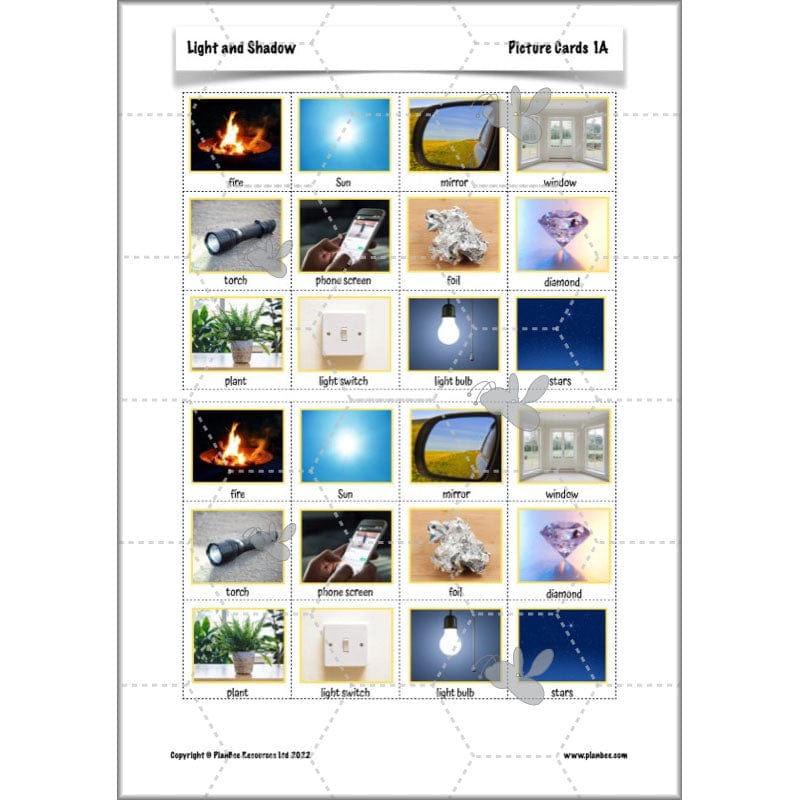 PlanBee Light Year 3 Science Planning Pack by PlanBee