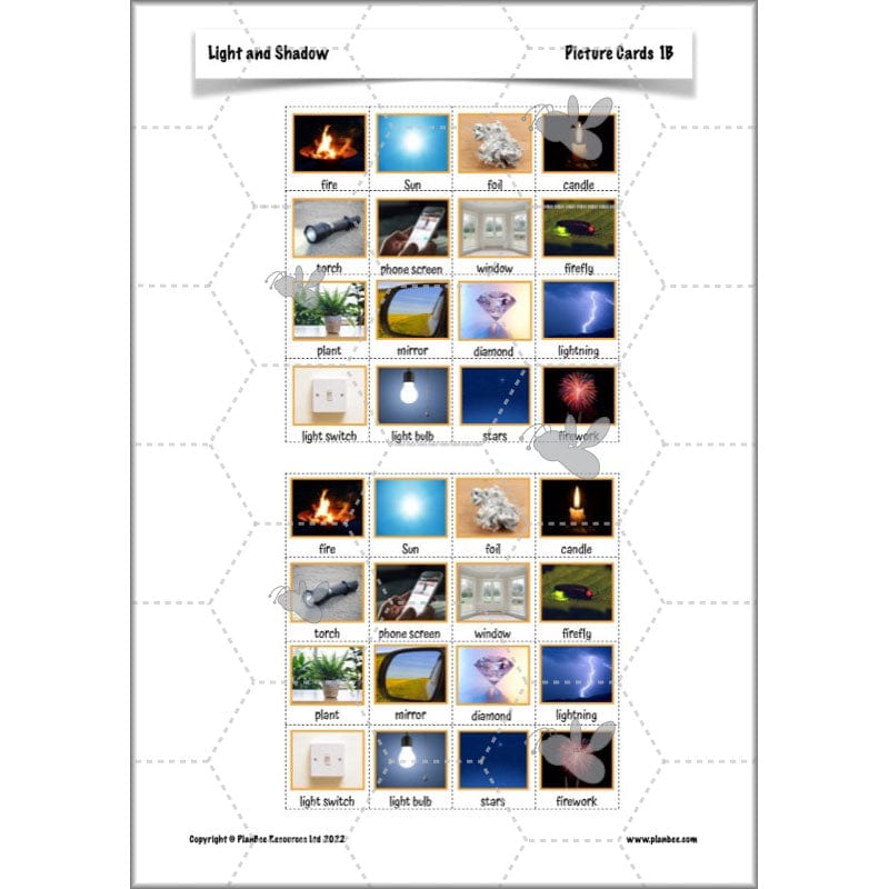 PlanBee Light Year 3 Science Planning Pack by PlanBee