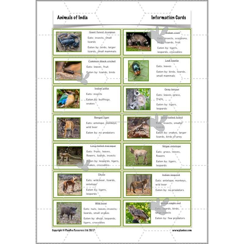 PlanBee Animals of India complete Science scheme of work for KS2