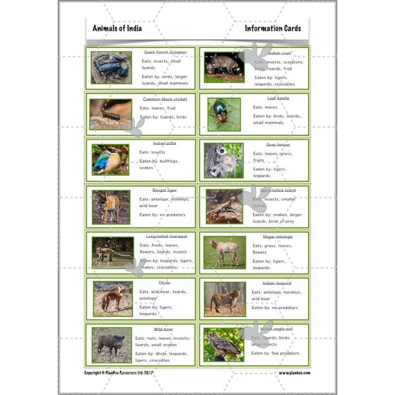 Animals of India complete Science scheme of work for KS2 — PlanBee