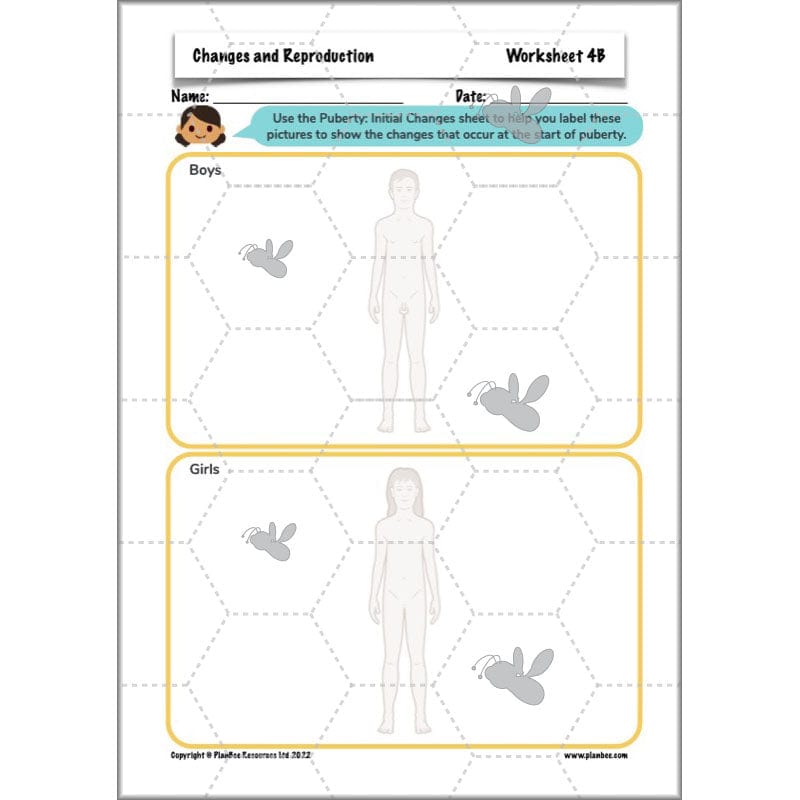 PlanBee Human Life Cycle KS2 lessons | Year 5 Science by PlanBee