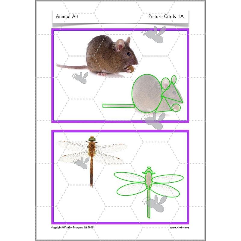 PlanBee Animal Art lessons and planning for KS1 created by PlanBee