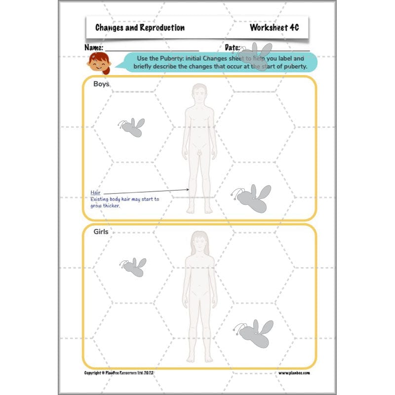 PlanBee Human Life Cycle KS2 lessons | Year 5 Science by PlanBee