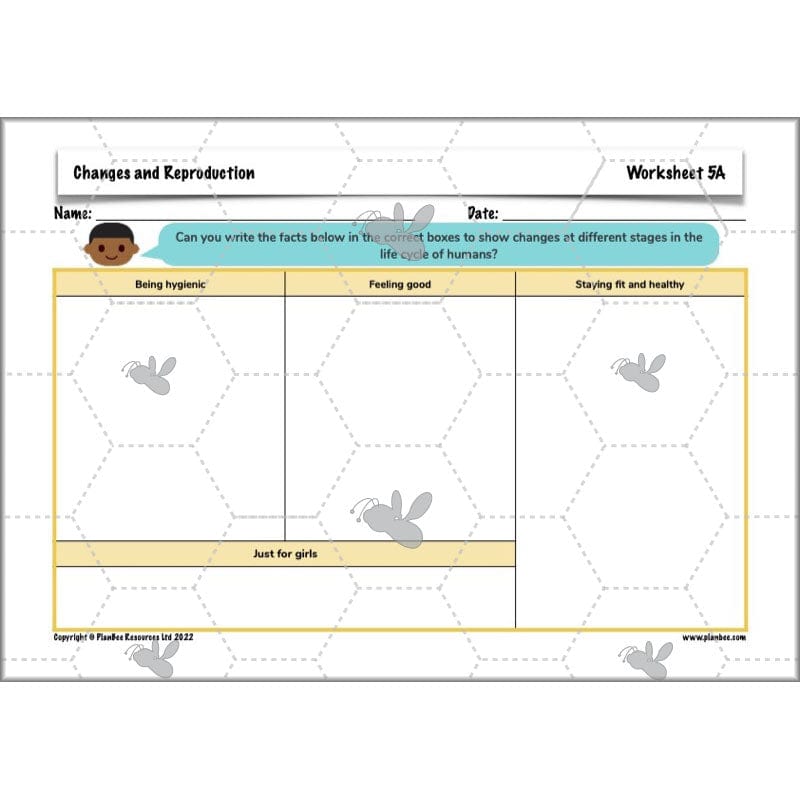PlanBee Human Life Cycle KS2 lessons | Year 5 Science by PlanBee
