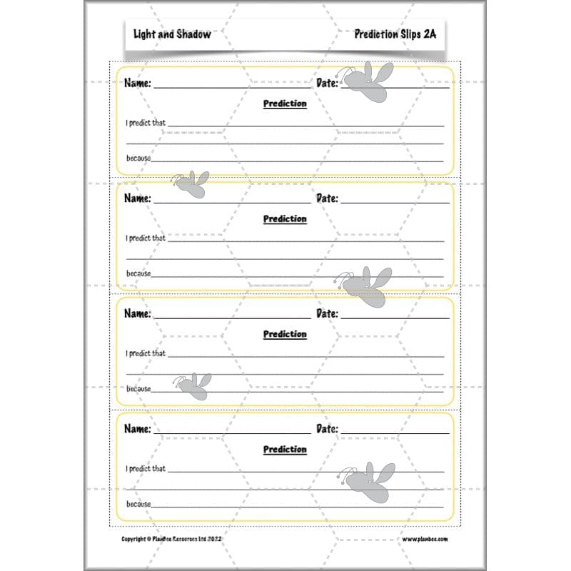 PlanBee Light Year 3 Science Planning Pack by PlanBee