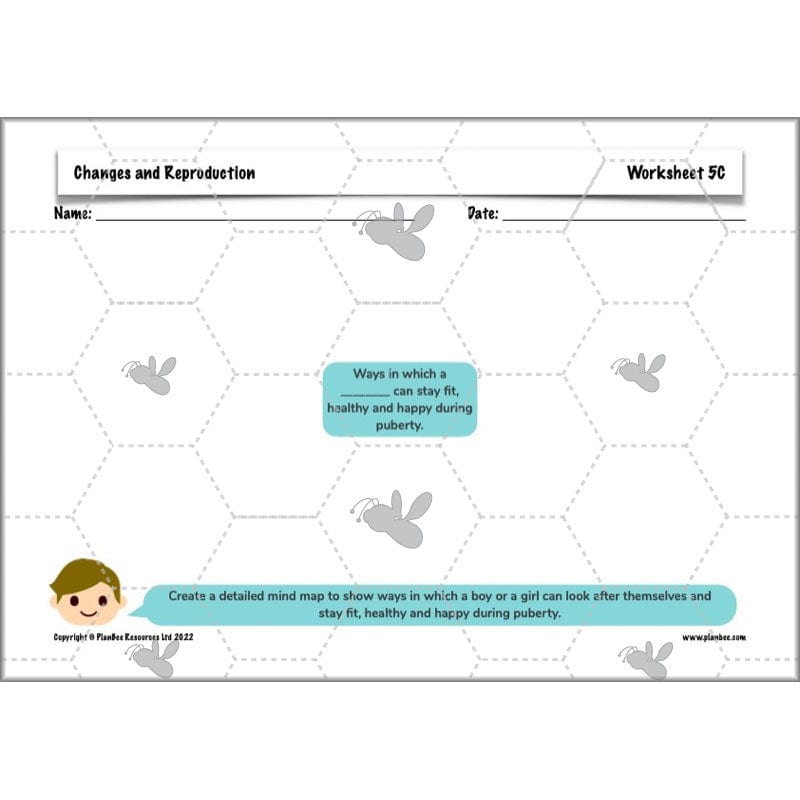 PlanBee Human Life Cycle KS2 lessons | Year 5 Science by PlanBee