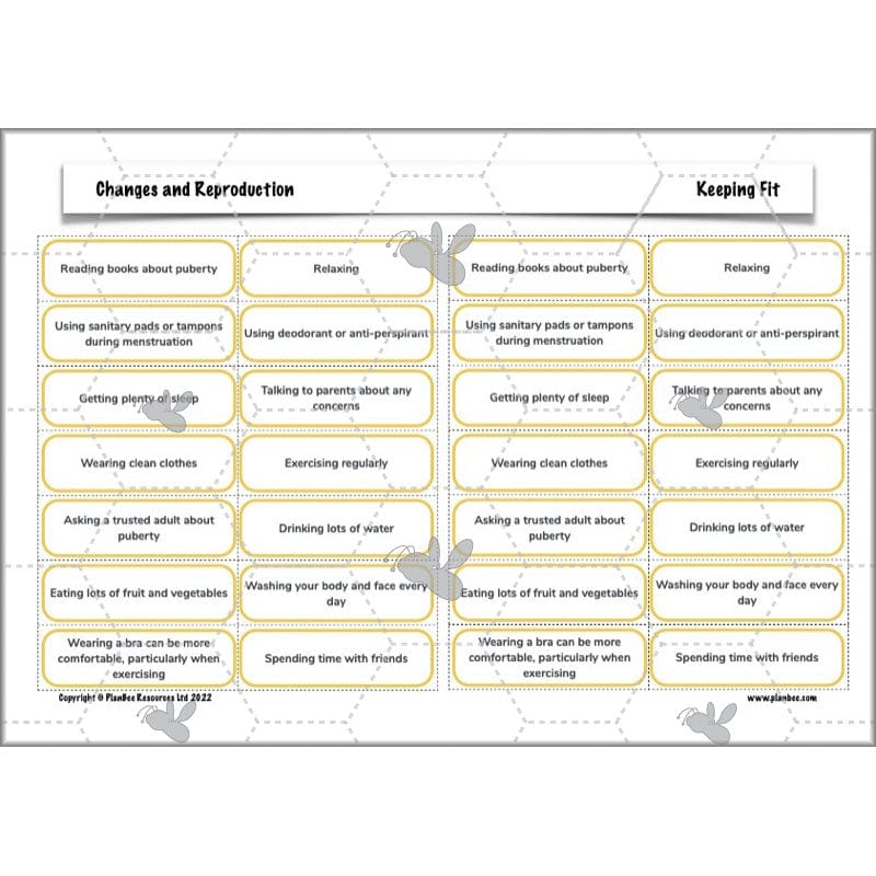 PlanBee Human Life Cycle KS2 lessons | Year 5 Science by PlanBee