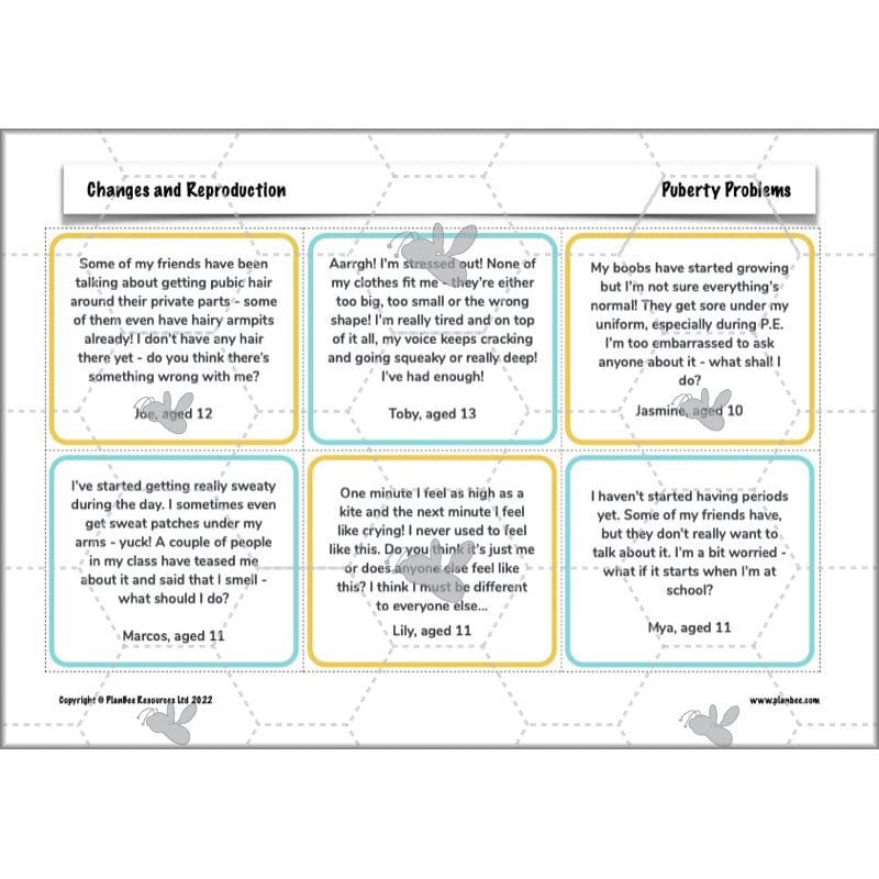 PlanBee Human Life Cycle KS2 lessons | Year 5 Science by PlanBee