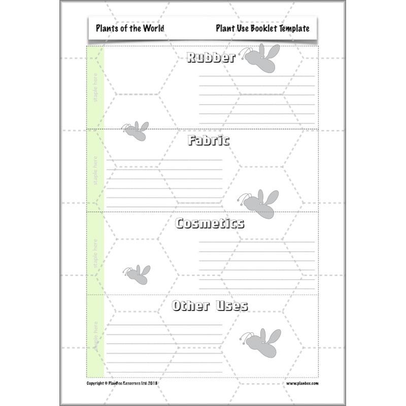 PlanBee Plants of the World: Plants KS2 Geography lessons by PlanBee