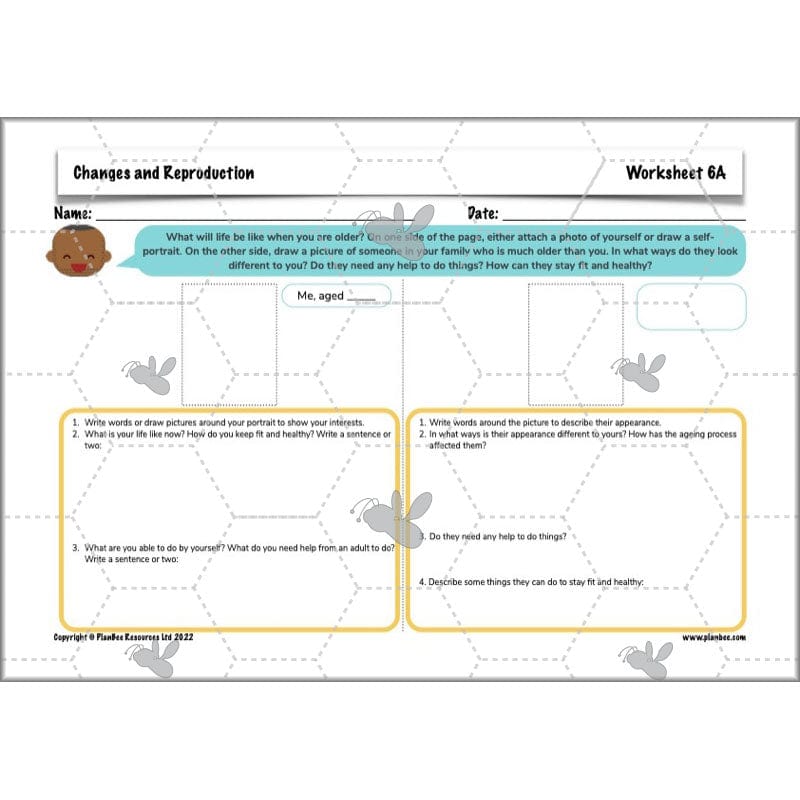 PlanBee Human Life Cycle KS2 lessons | Year 5 Science by PlanBee