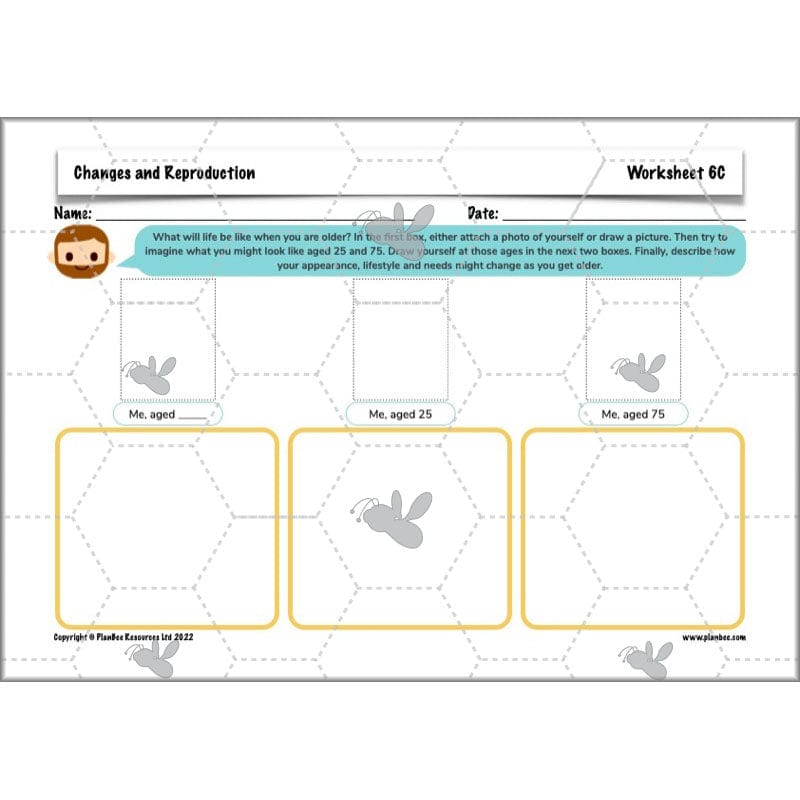 PlanBee Human Life Cycle KS2 lessons | Year 5 Science by PlanBee