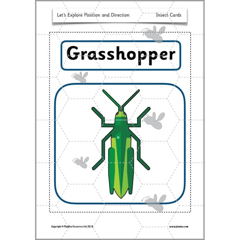 PlanBee Explore Position and Direction Year 2 Maths | PlanBee