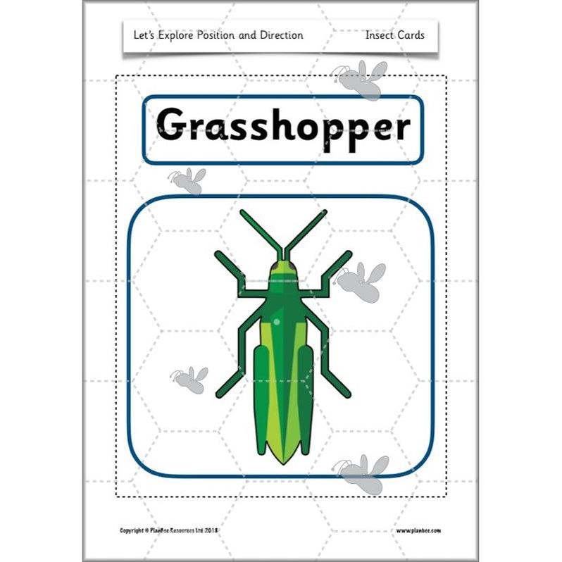Explore Position and Direction Year 2 Maths | PlanBee