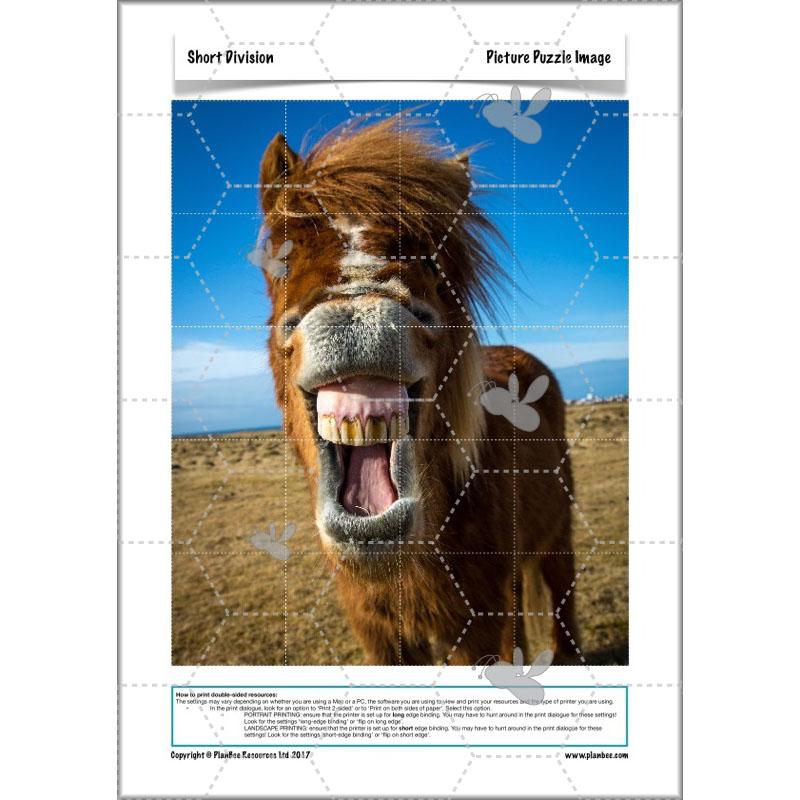 PlanBee Short Division - Year 5 Maths Planning and Resources from PlanBee