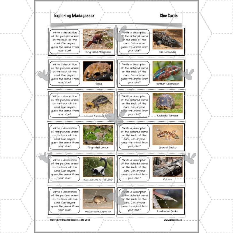 PlanBee Exploring Madagascar: LKS2 Year 3 & Year 4 set of Geography lessons