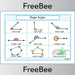 PlanBee FREE 2D Shapes Angles by PlanBee