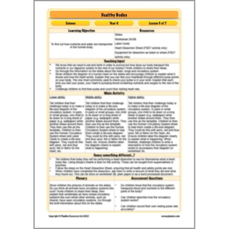 PlanBee Healthy Bodies Animals including Humans Year 6 Planning