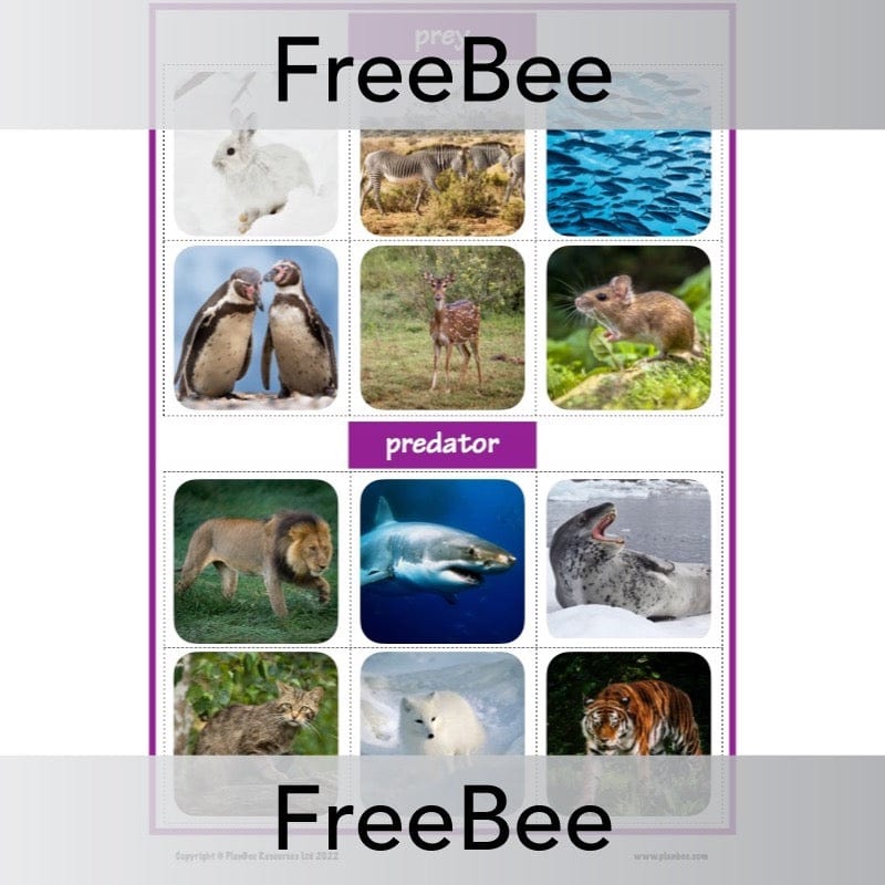 PlanBee FREE Active and Passive Voice Game by PlanBee