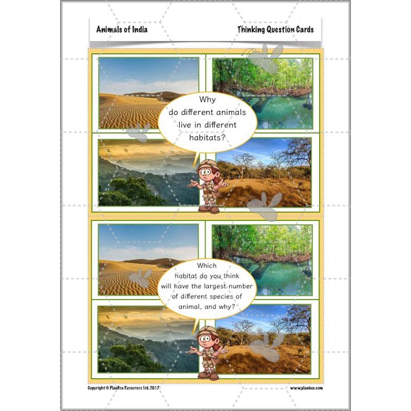 PlanBee Animals of India complete Science scheme of work for KS2