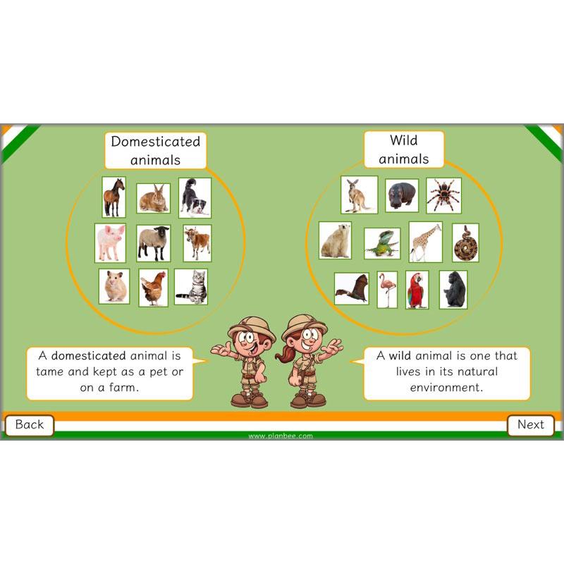 PlanBee Animals of India complete Science scheme of work for KS2