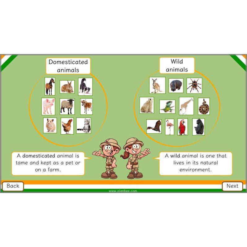 Animals of India complete Science scheme of work for KS2 — PlanBee