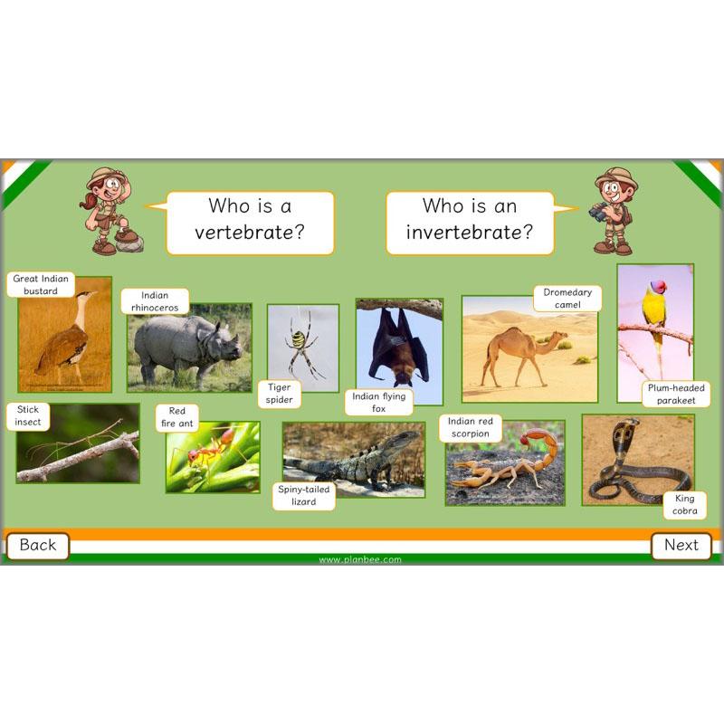 PlanBee Animals of India complete Science scheme of work for KS2