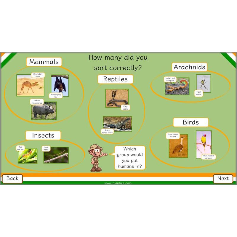 PlanBee Animals of India complete Science scheme of work for KS2