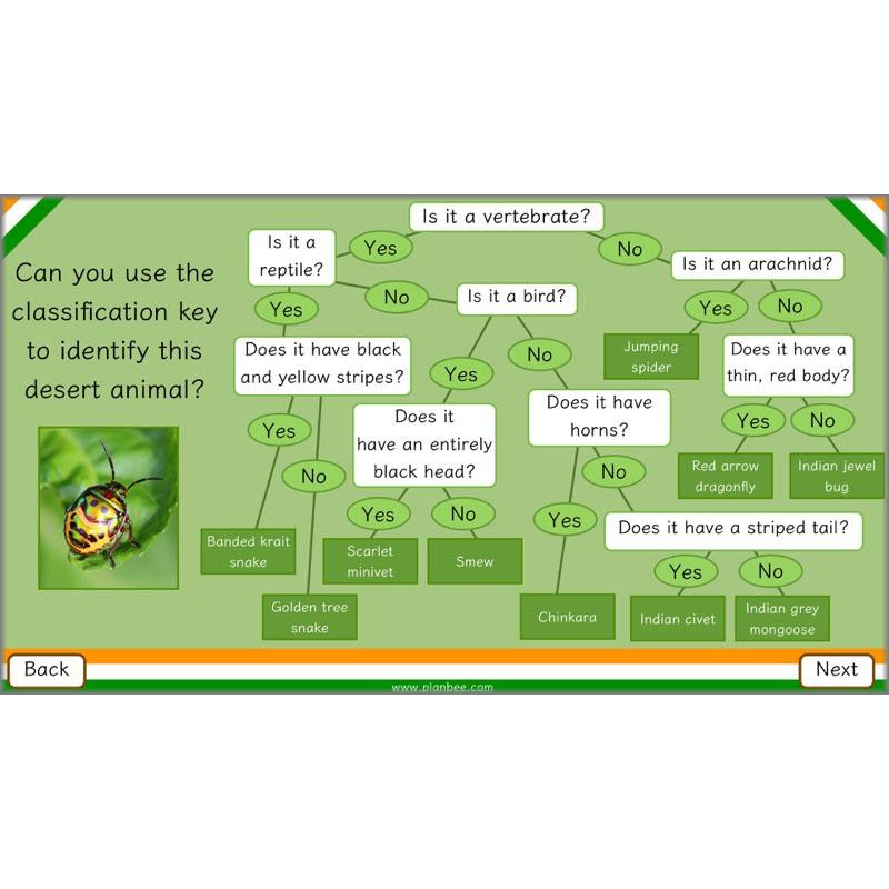 PlanBee Animals of India complete Science scheme of work for KS2