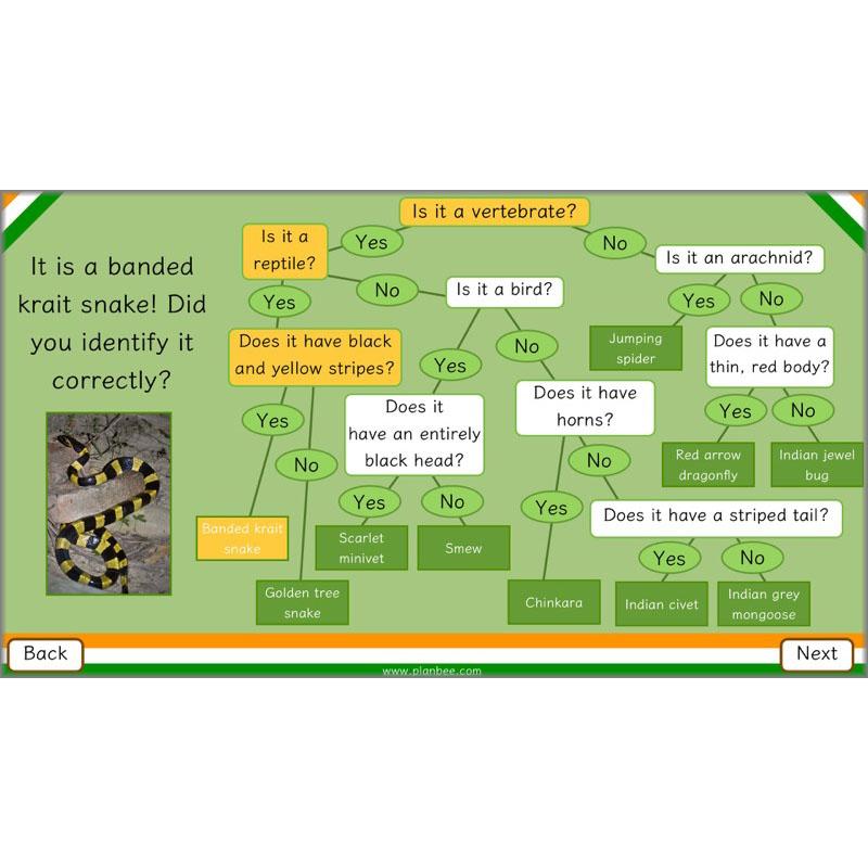 PlanBee Animals of India complete Science scheme of work for KS2