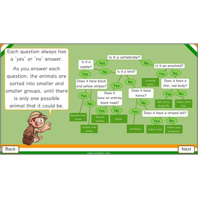 PlanBee Animals of India complete Science scheme of work for KS2