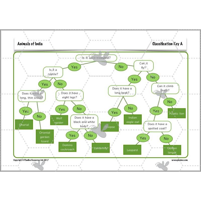 PlanBee Animals of India complete Science scheme of work for KS2