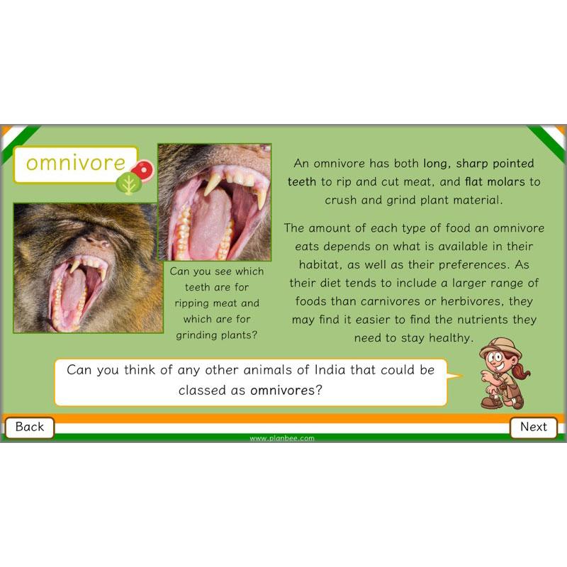 PlanBee Animals of India complete Science scheme of work for KS2