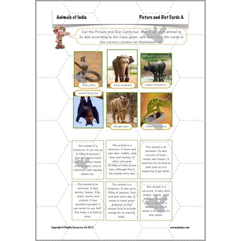 PlanBee Animals of India complete Science scheme of work for KS2