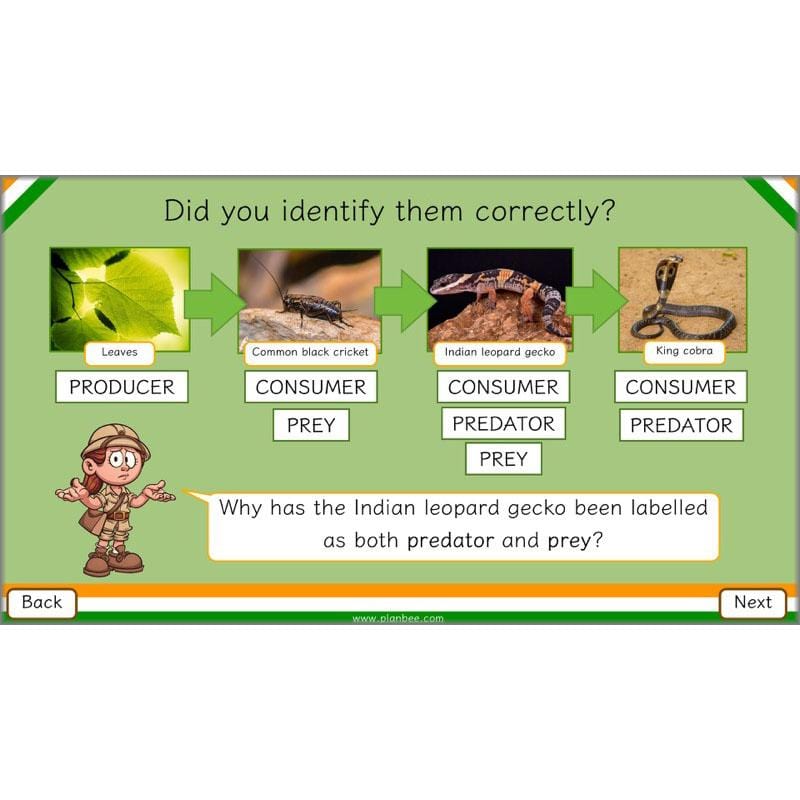 PlanBee Animals of India complete Science scheme of work for KS2