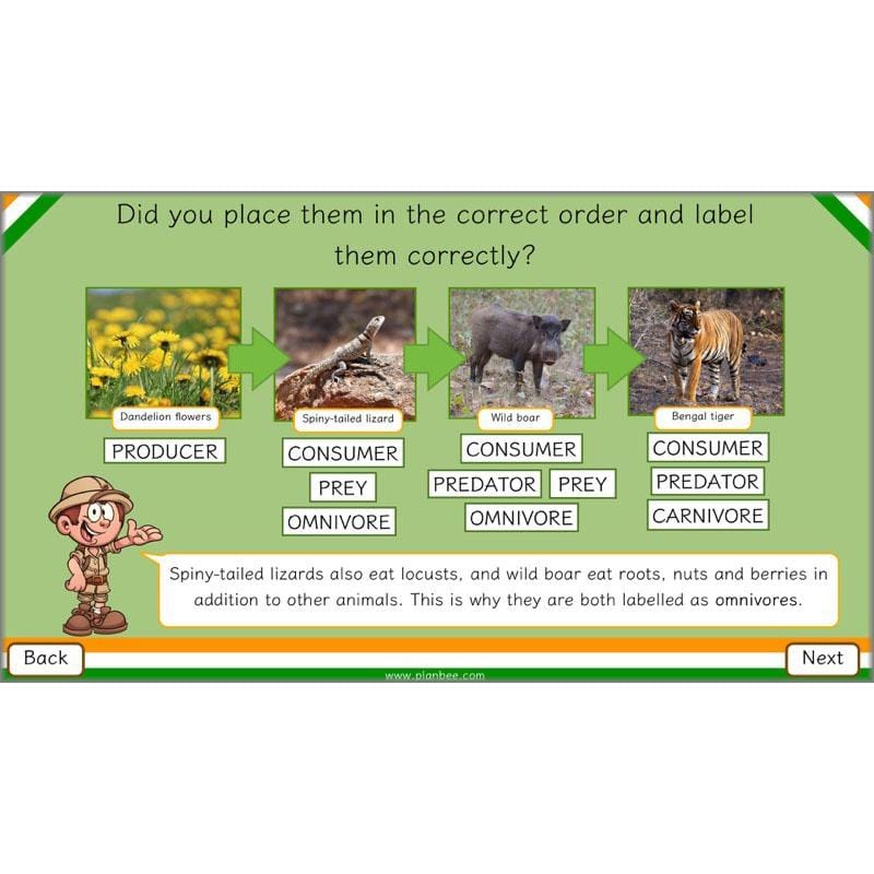 PlanBee Animals of India complete Science scheme of work for KS2