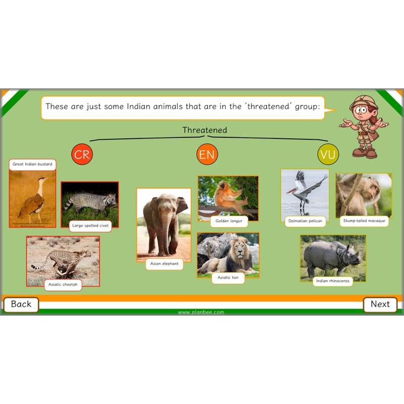 PlanBee Animals of India complete Science scheme of work for KS2