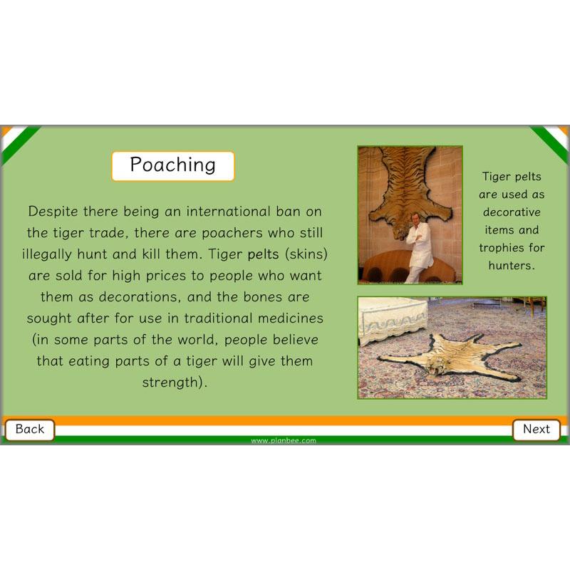 PlanBee Animals of India complete Science scheme of work for KS2