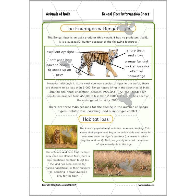 PlanBee Animals of India complete Science scheme of work for KS2