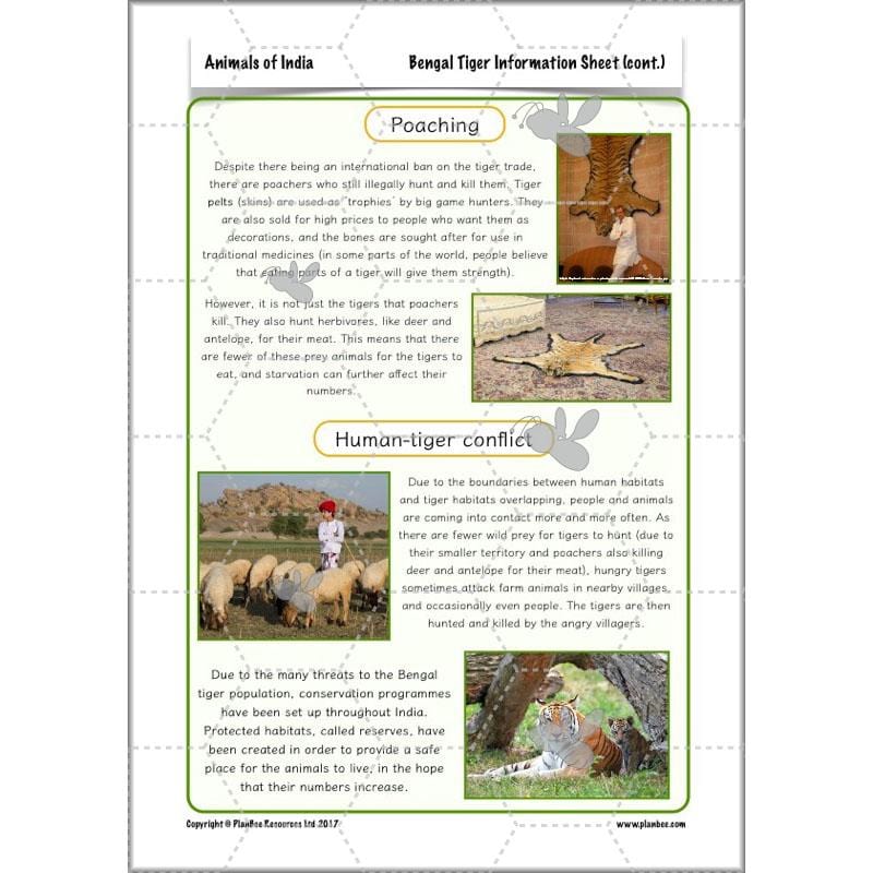 PlanBee Animals of India complete Science scheme of work for KS2