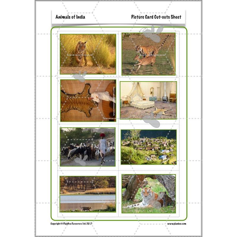 PlanBee Animals of India complete Science scheme of work for KS2