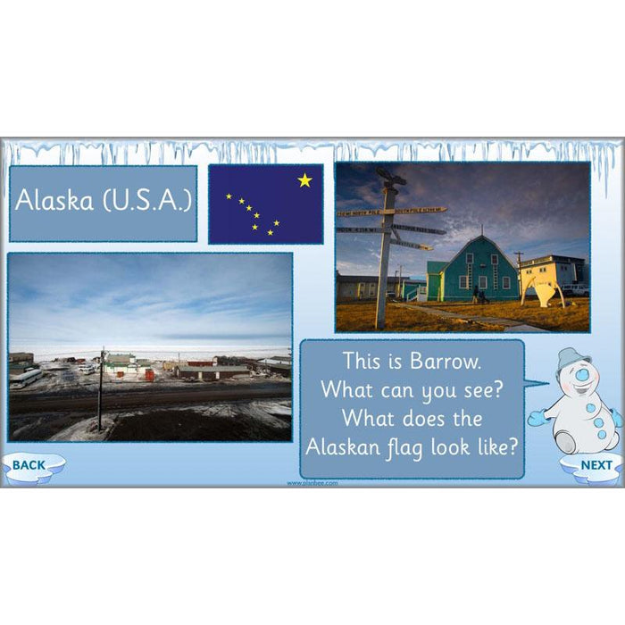 PlanBee Polar Explorers KS1 Arctic Adventures Topic | PlanBee