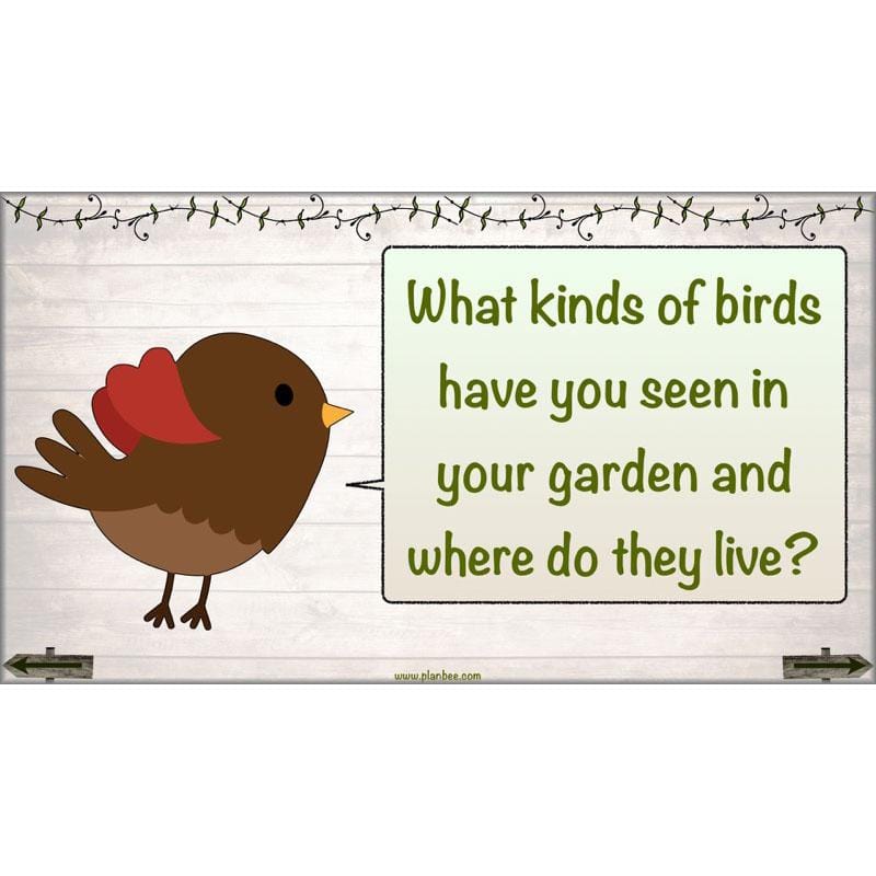 PlanBee Bird House Builders - DT Primary Resources for KS2 Year 6 | PlanBee