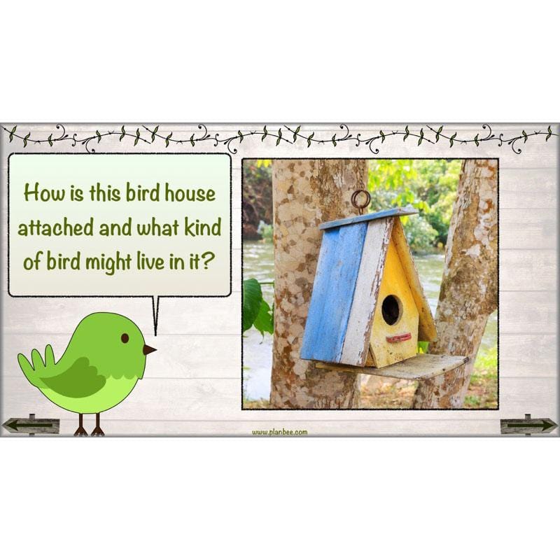 PlanBee Bird House Builders - DT Primary Resources for KS2 Year 6 | PlanBee